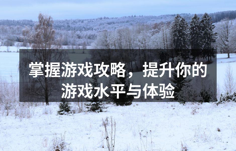 掌握游戏攻略，提升你的游戏水平与体验