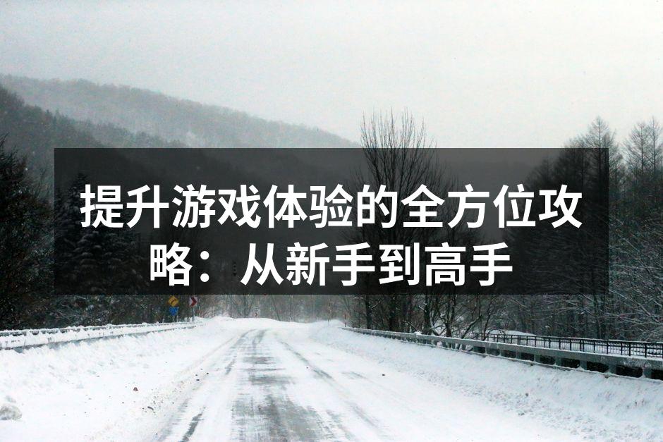提升游戏体验的全方位攻略：从新手到高手